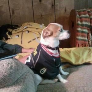 Meet your Posher, Jack